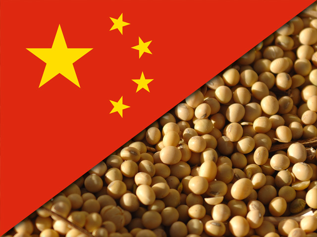 China is the U.S.&#039; top soybean export market and buys approximately 25% of the crop each year, or one of every four rows planted. The U.S. exported 62% of the crop in the last marketing year. (DTN/The Progressive Farmer file photo)